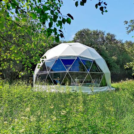 斯莱戈 Teapot Lane Glamping - Adults Only酒店 外观 照片